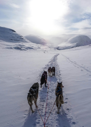 Husky tours